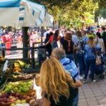 Festa-della-vendemmia